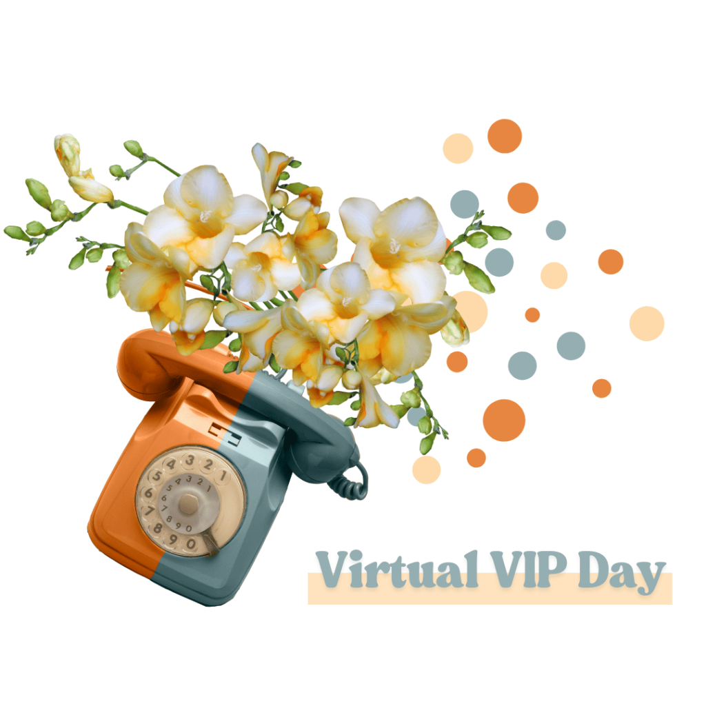 VIP Voxer Support -All Day Mentoring- Virtual VIP Day